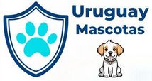 Uruguay – Mascotas